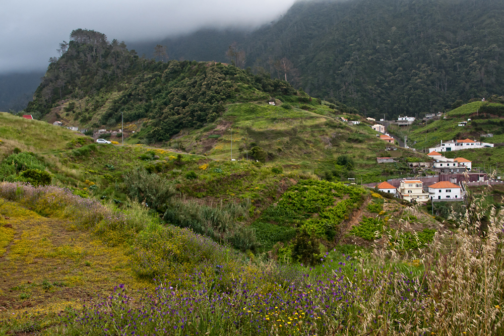 570_Madera_okolice Faial.jpg